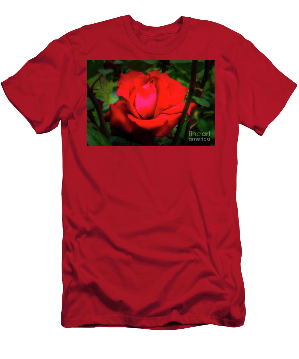 Christchurch T-Shirt featuring the photograph Rose at Mona Vale Gardens, Christchurch by Fran Woods
