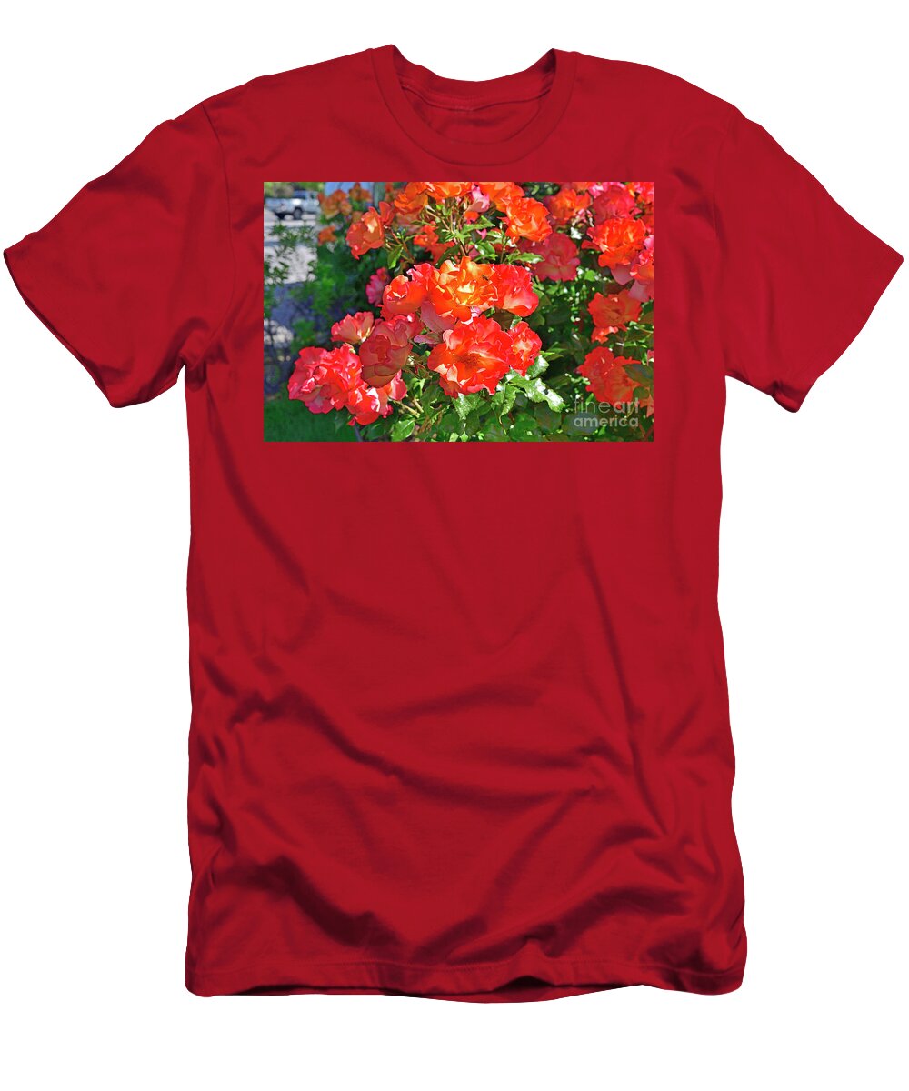 Red Roses T-Shirt featuring the photograph Roses and Honey Bee by Amazing Action Photo Video