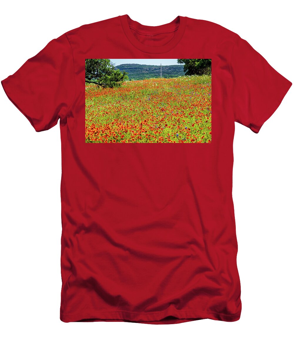 Tree T-Shirt featuring the photograph Spring Time during a Scenic Drive by Nathan Wasylewski