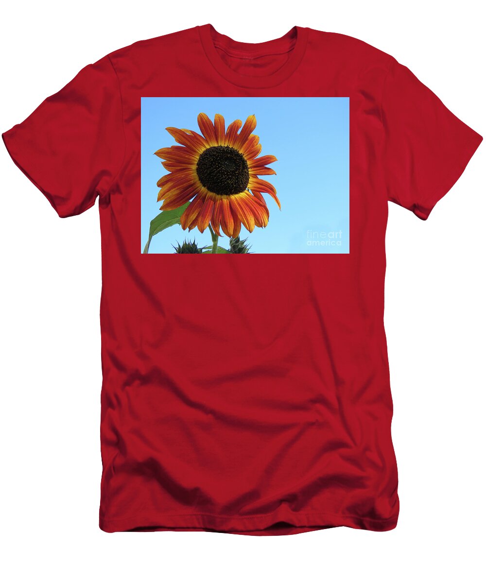 Canada T-Shirt featuring the photograph Sunny Sunflower by Mary Mikawoz