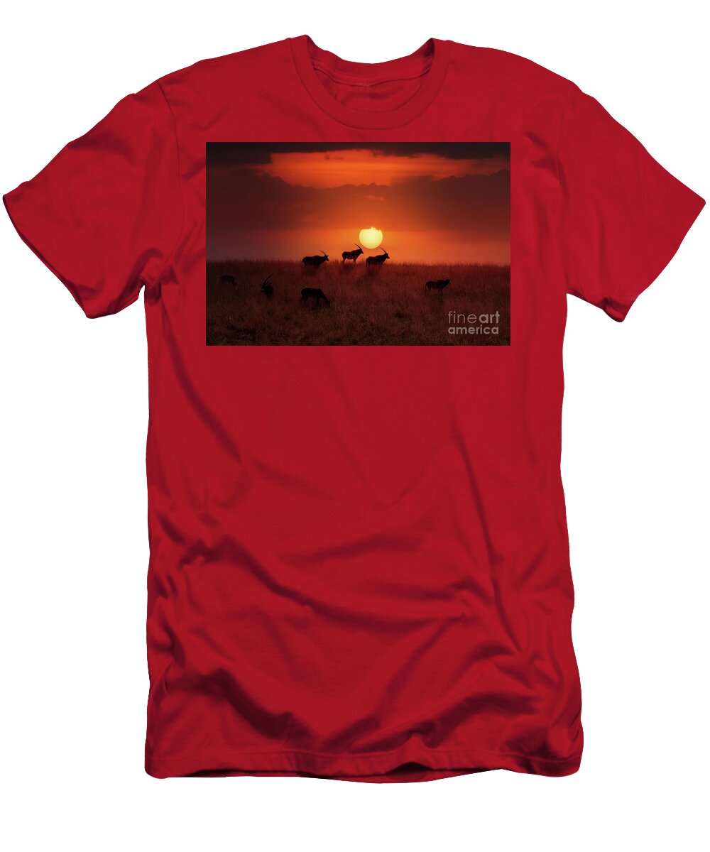 Oryx T-Shirt featuring the photograph Sunset Herd by Ed Taylor