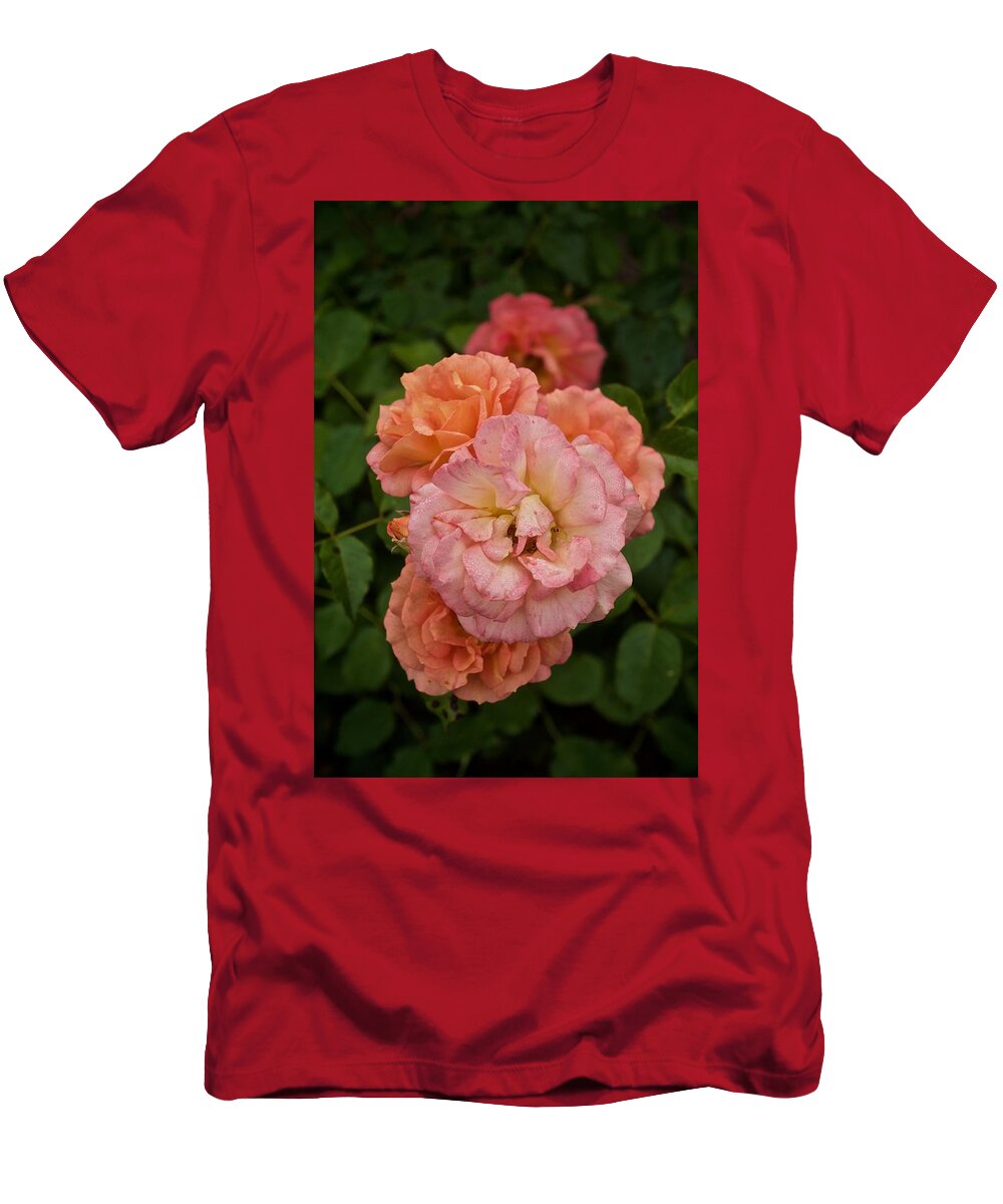 Roses T-Shirt featuring the photograph The Five Roses Greeting Card by Richard Cummings