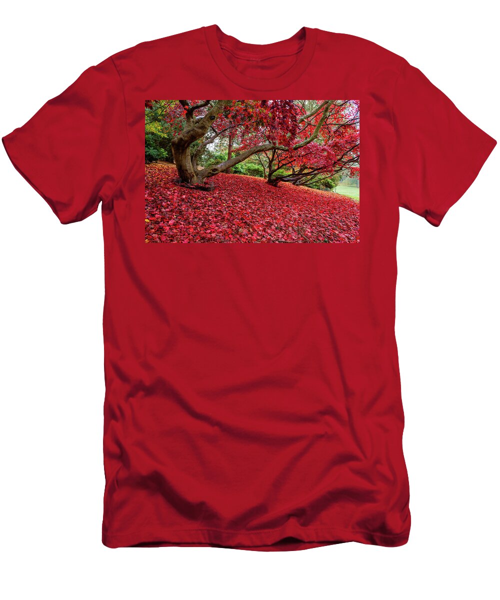 Landscape T-Shirt featuring the photograph The Red Carpet by Shirley Mitchell