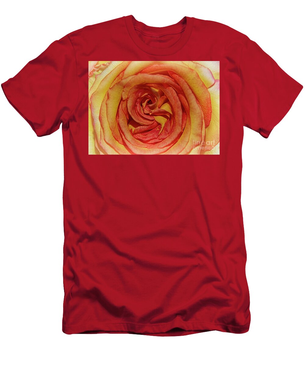  T-Shirt featuring the photograph The Rose in Pink Yellow Orange by Janice Pariza