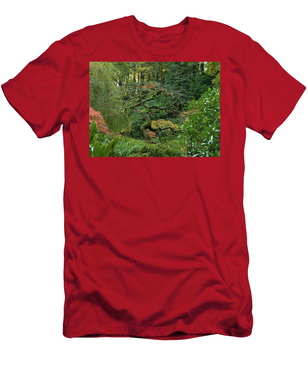 Tree Bones T-Shirt featuring the photograph Tree Bones by Jean Noren