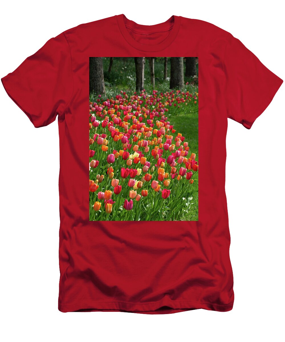Tulips T-Shirt featuring the photograph Tulip Garden by Mary Ann Artz