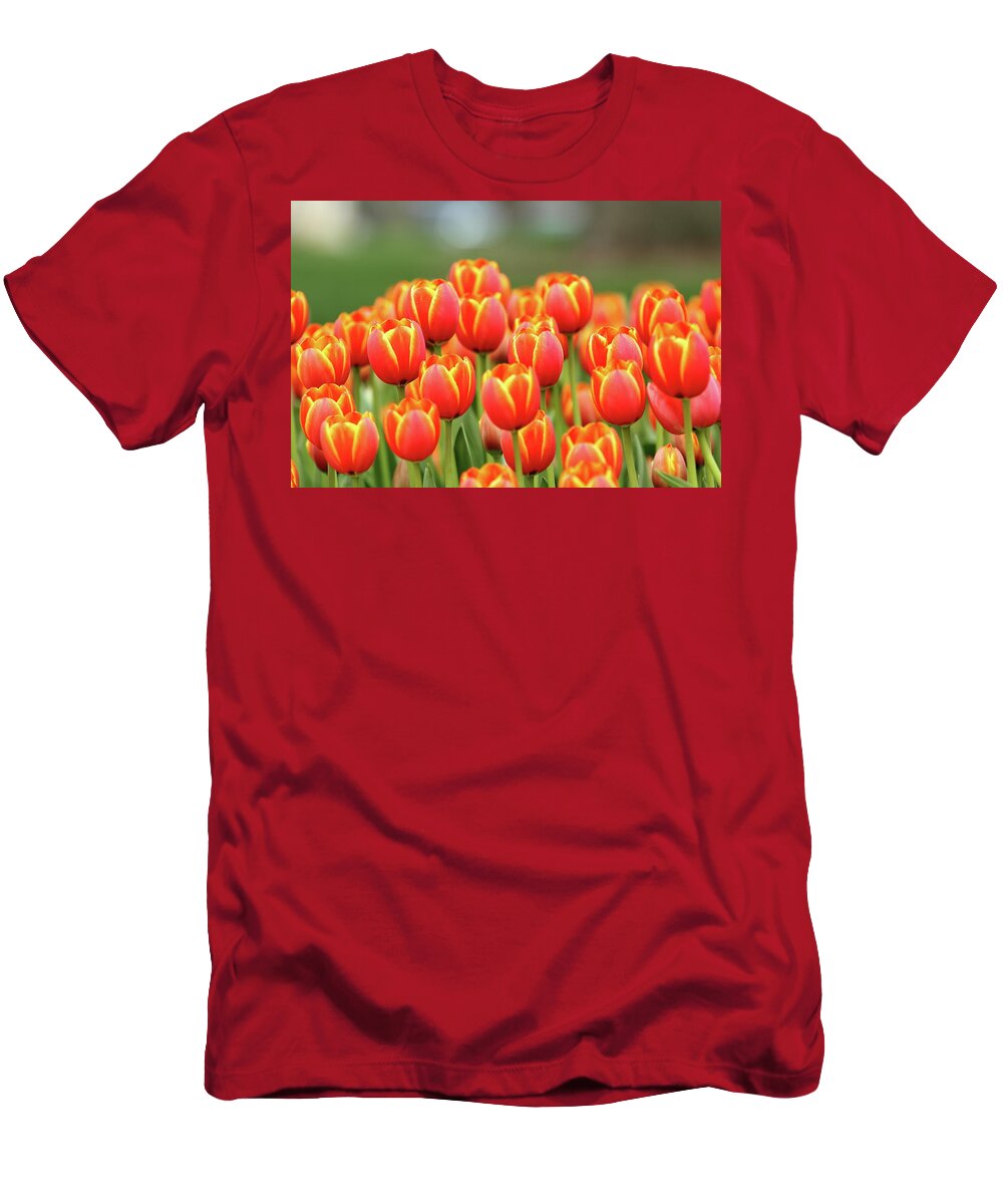 Nature T-Shirt featuring the photograph Tulip Tiki Torches by Lens Art Photography By Larry Trager