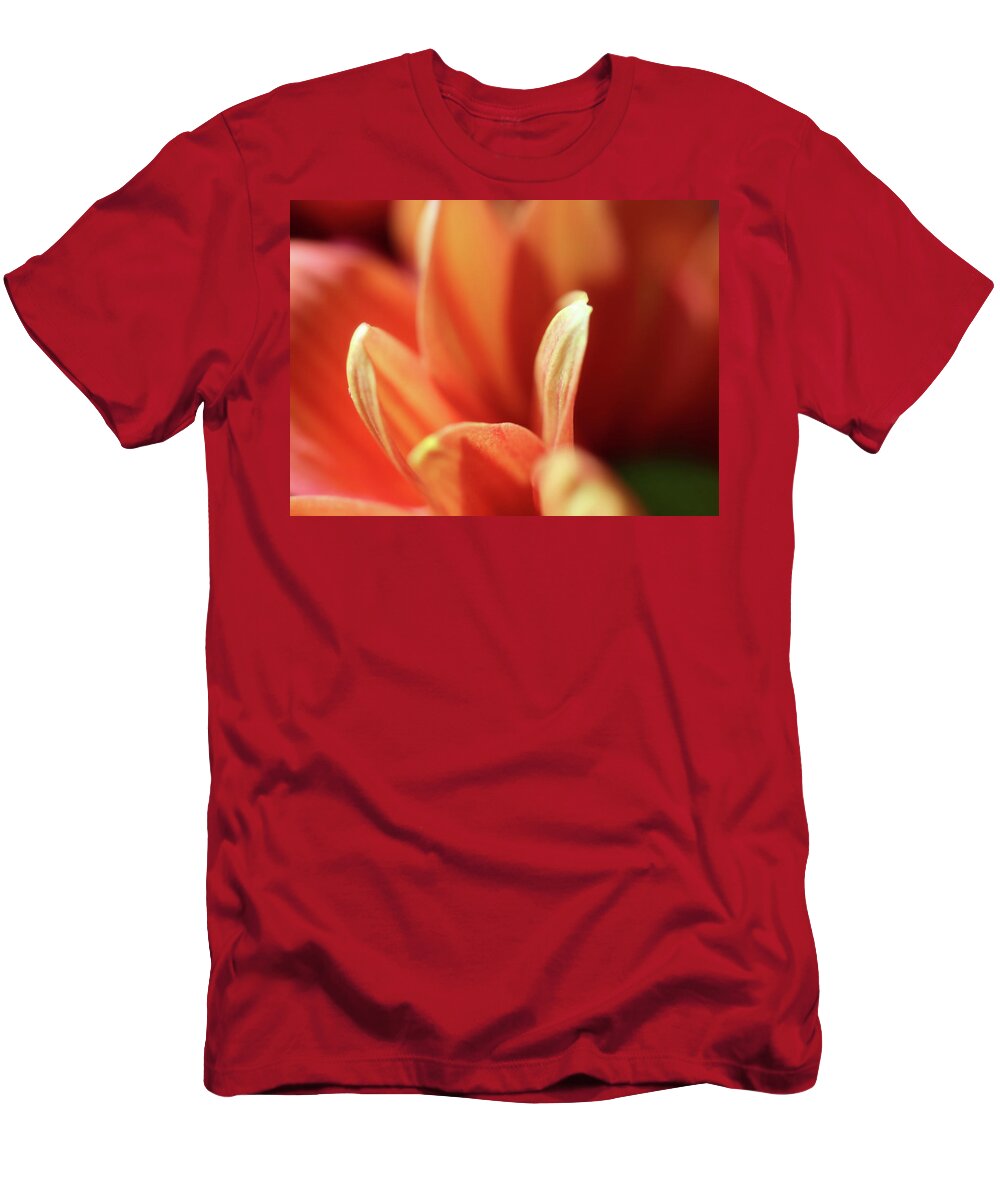 Petals T-Shirt featuring the photograph Very Close To The Gorgeous Petals by Johanna Hurmerinta