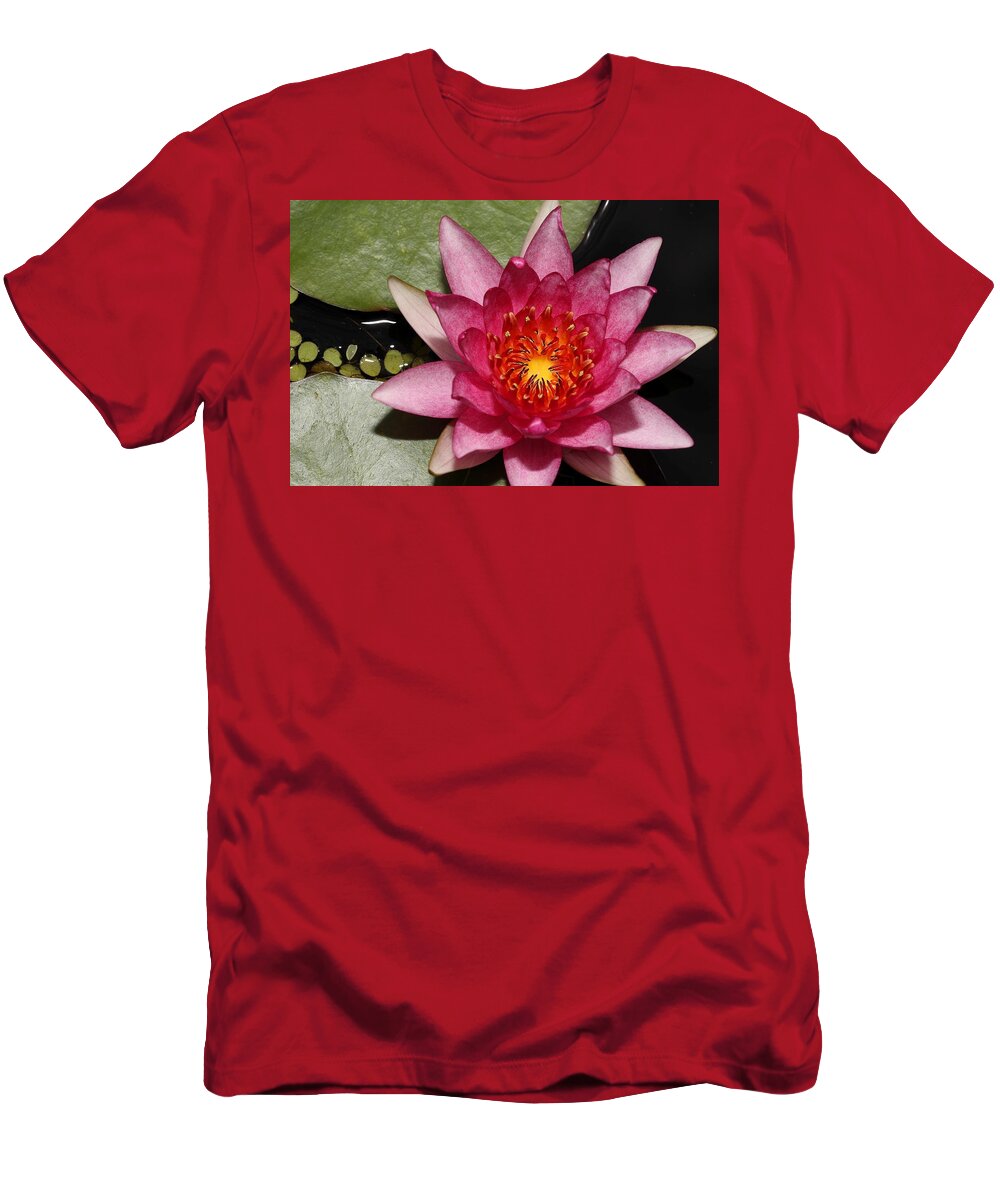 Water Lily T-Shirt featuring the photograph Water Lily Jewel by Mingming Jiang