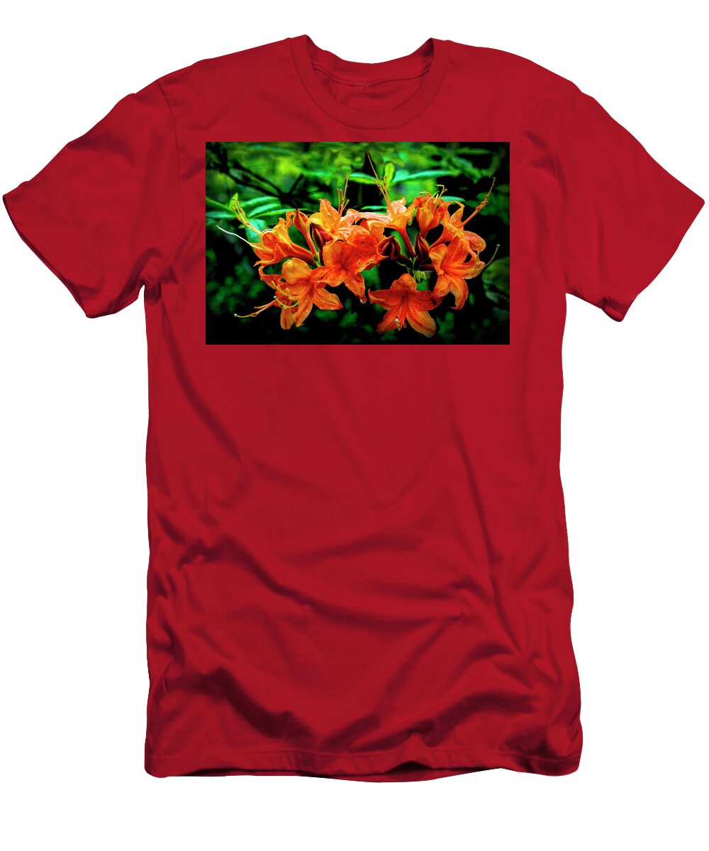 Carolina T-Shirt featuring the photograph Wild Azaleas by Debra and Dave Vanderlaan