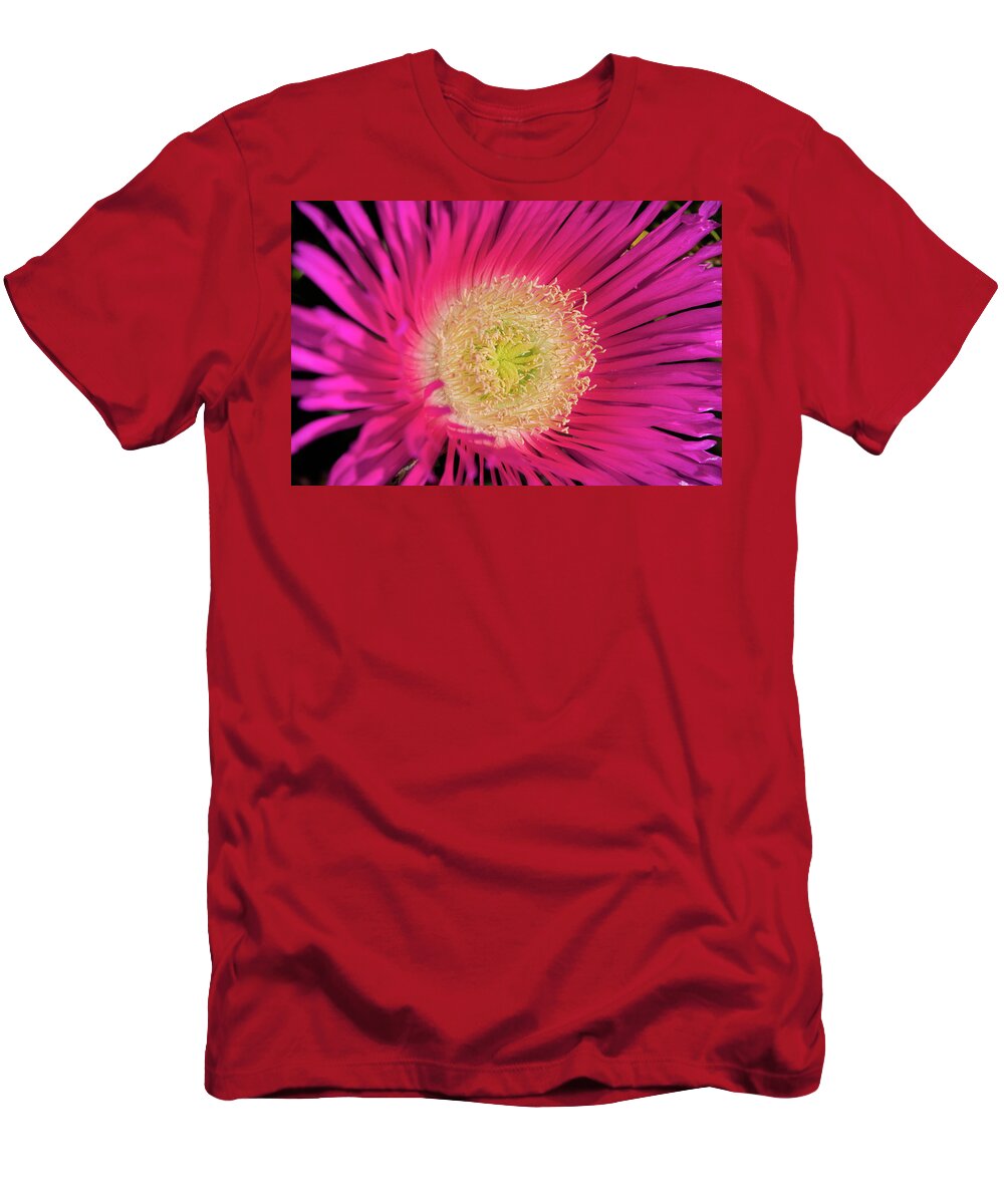 Purple Flower T-Shirt featuring the photograph Wild beach purple flower by Angelo DeVal