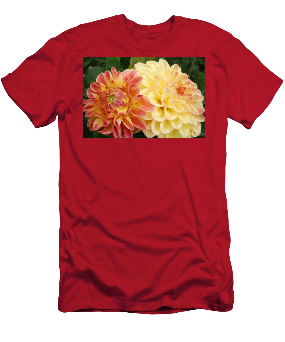 Dahlia T-Shirt featuring the photograph Yellow and Orange Dahlias 1 by Amy Fose