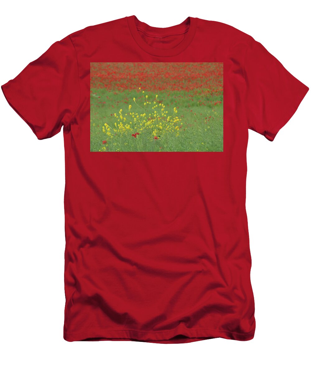 Field T-Shirt featuring the photograph Yellow in a field of red by Average Images