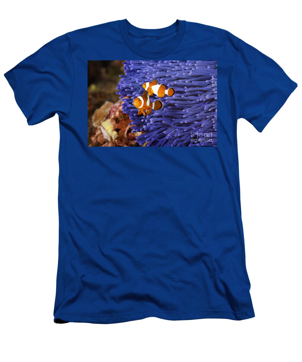 Anemone T-Shirt featuring the photograph Ocellaris Clownfish by Anthony Totah