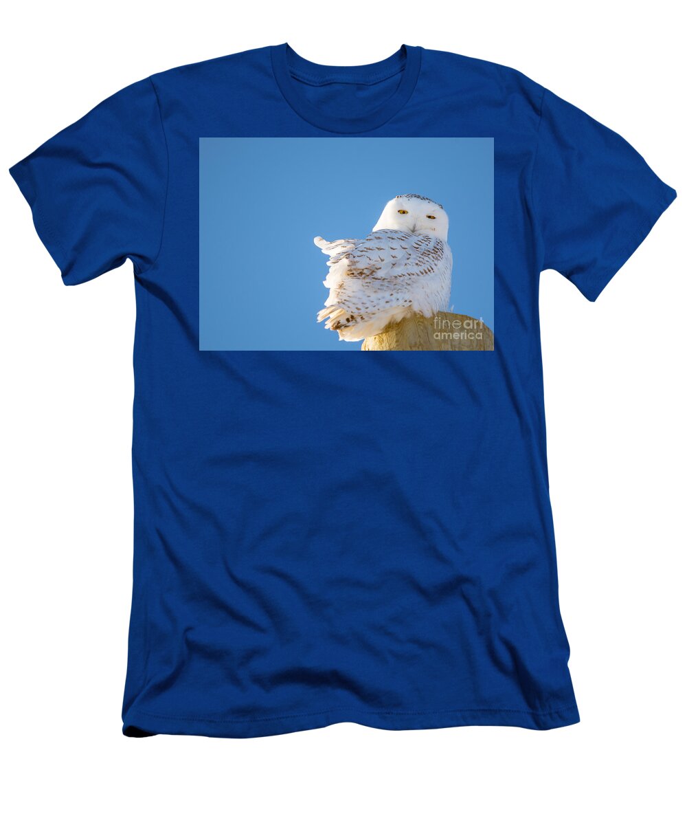  Sky T-Shirt featuring the photograph Blue Sky Snowy #1 by Cheryl Baxter