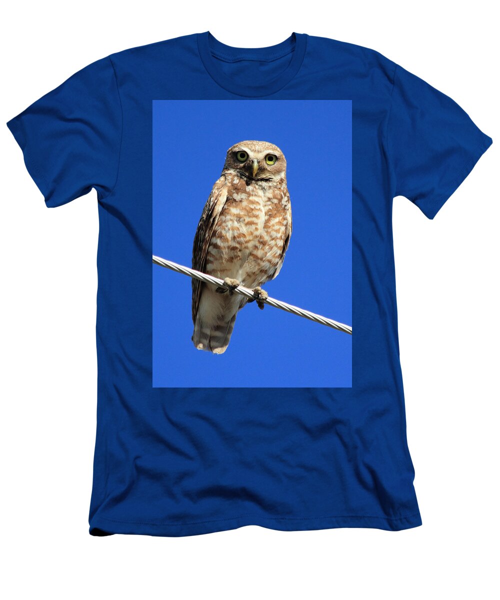 Owl T-Shirt featuring the photograph Stare Down by Shane Bechler