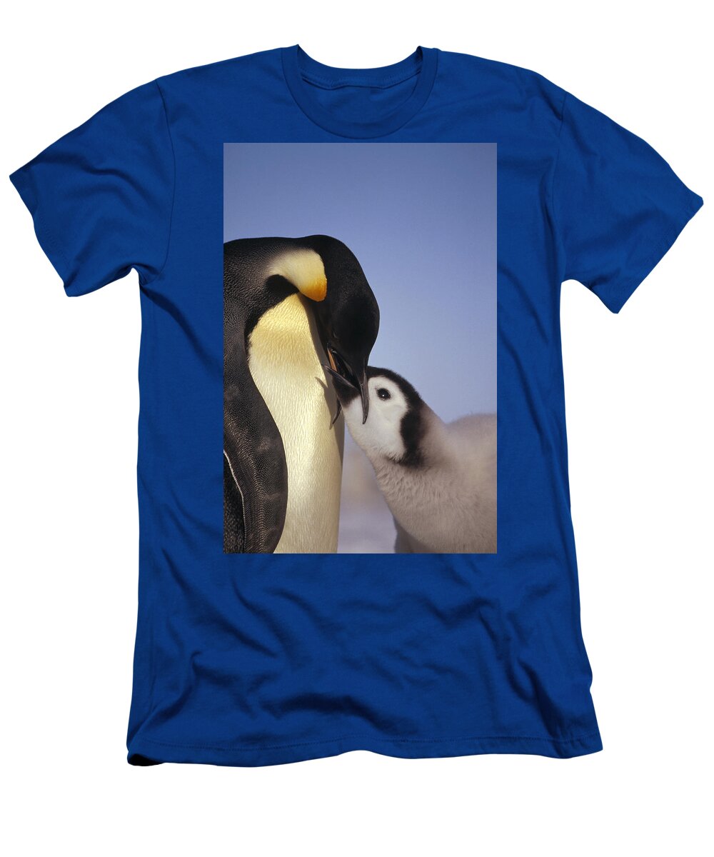 Feb0514 T-Shirt featuring the photograph Emperor Penguin Feeding Chick Antarctica #2 by Tui De Roy