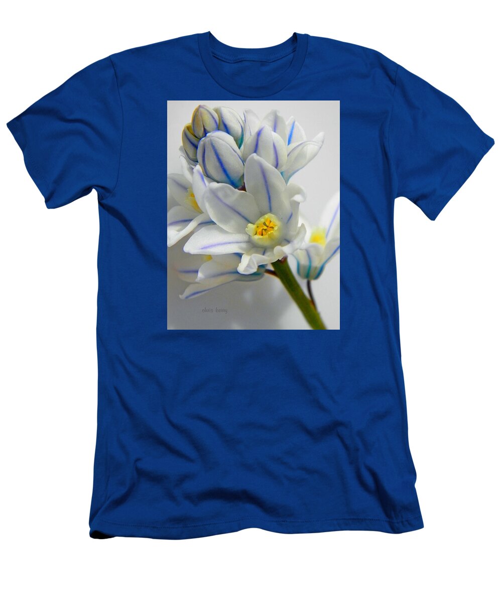 Squill T-Shirt featuring the photograph Siberian Squill #1 by Chris Berry