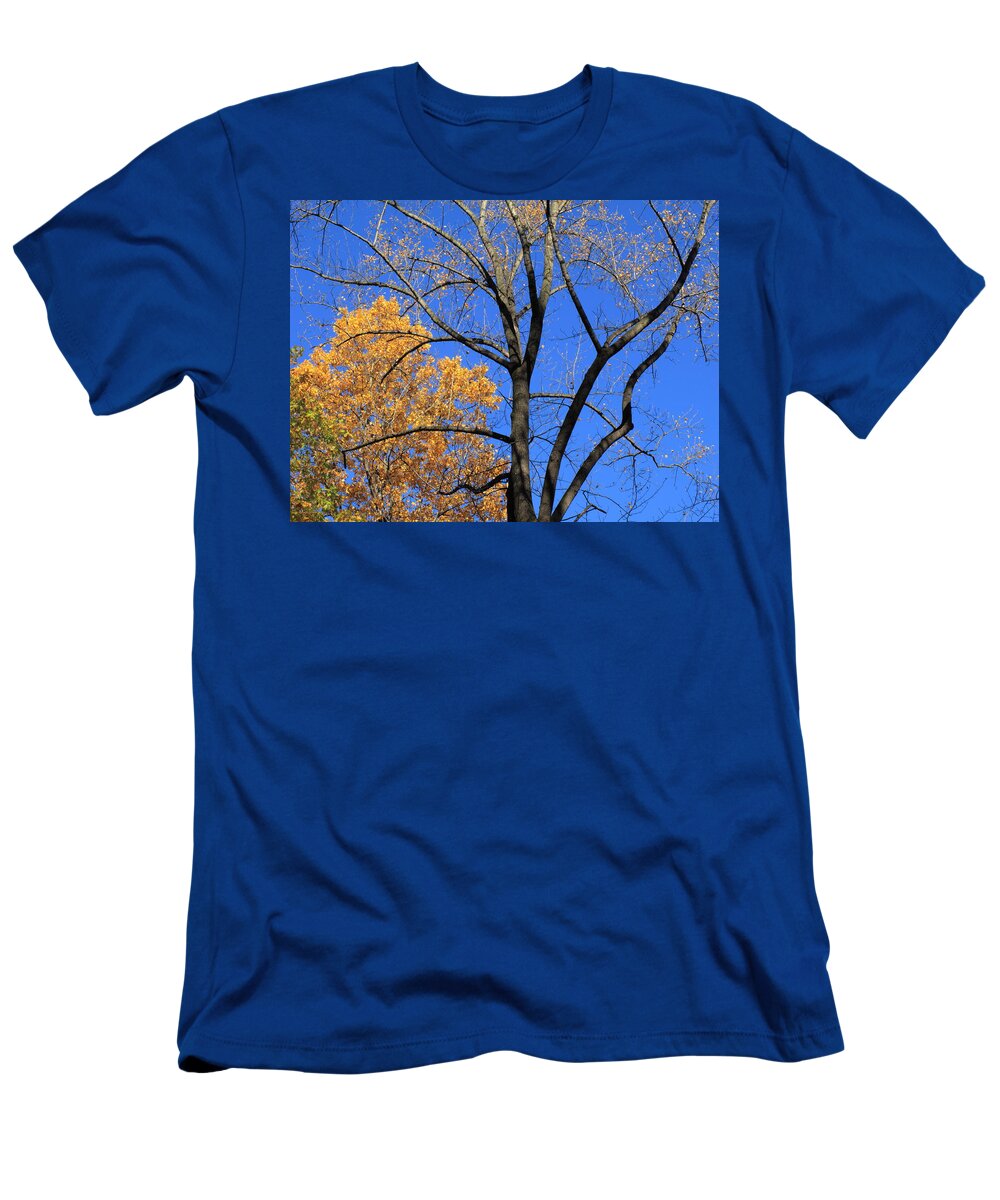Art T-Shirt featuring the photograph Autumn Trees #1 by Frank Romeo