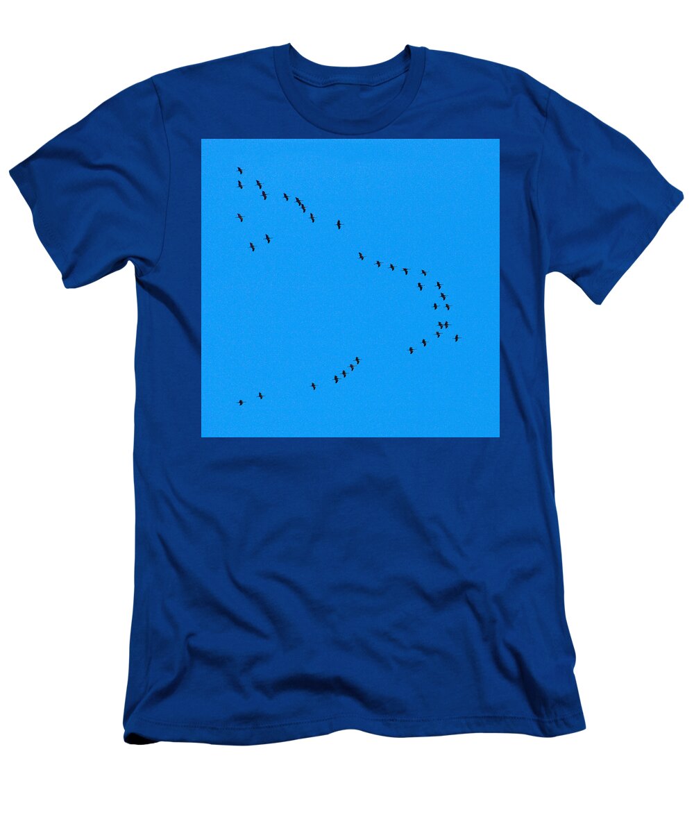 Lehto T-Shirt featuring the photograph Eurasian Cranes #3 by Jouko Lehto