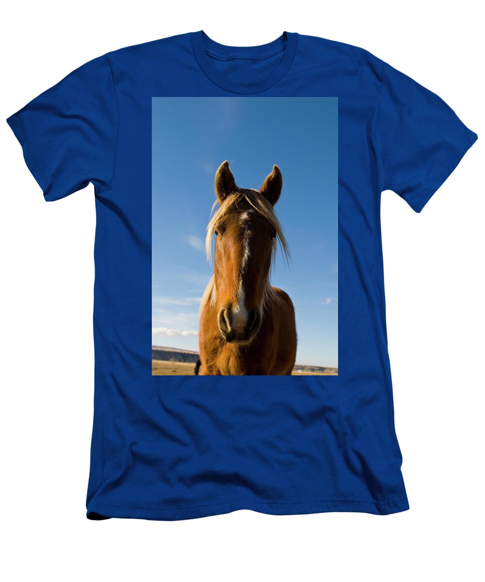 Animal Head T-Shirt featuring the photograph A Horse Looks Into The Camera While by Jeff Diener