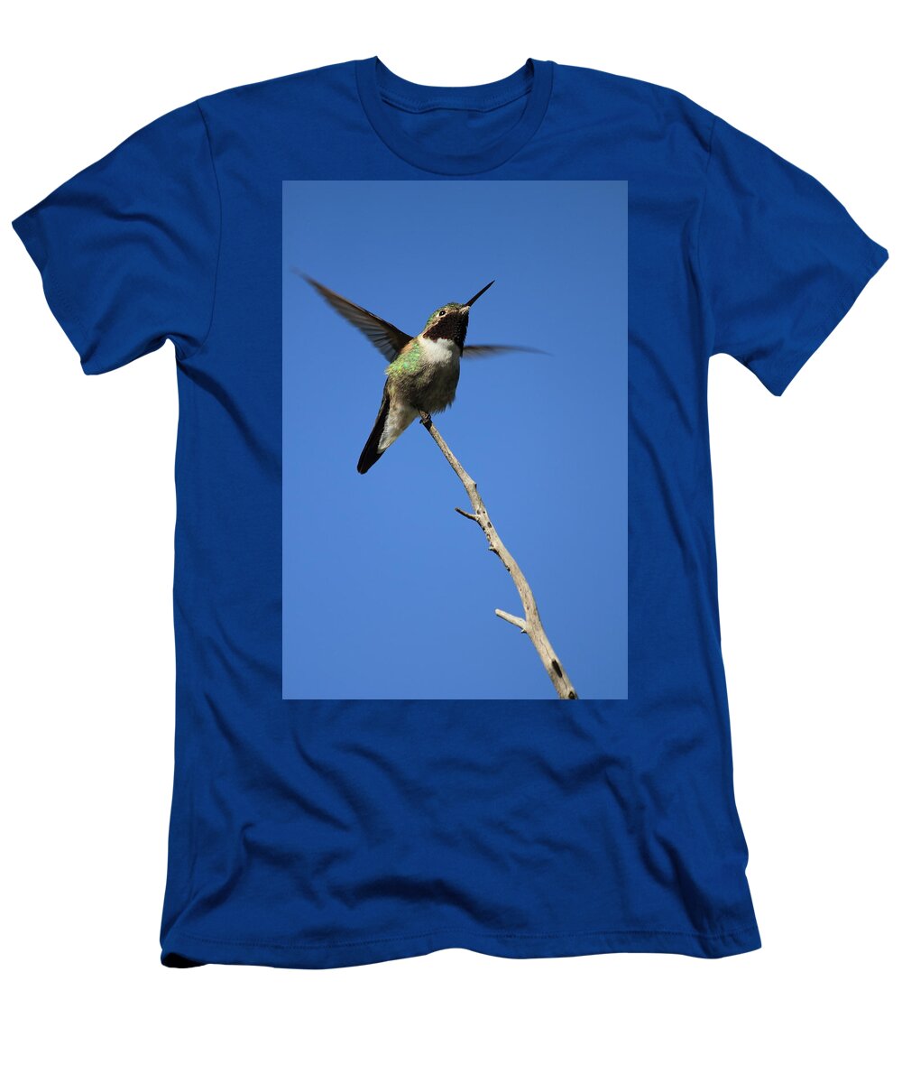 Humming T-Shirt featuring the photograph A Tiny Flutter by Shane Bechler