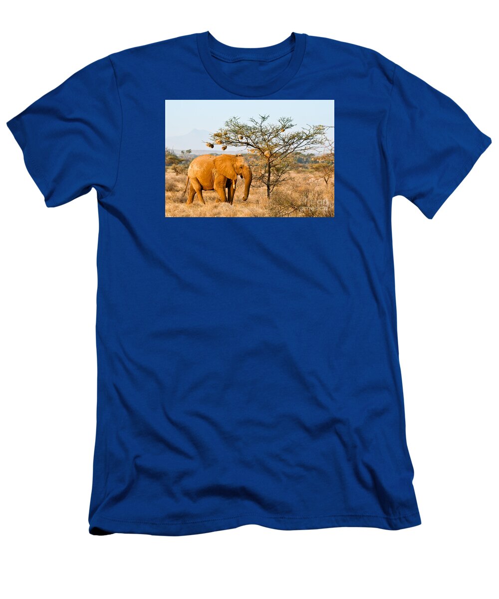 African Elephant T-Shirt featuring the photograph African Elephant wearing a Radio Collar by Liz Leyden