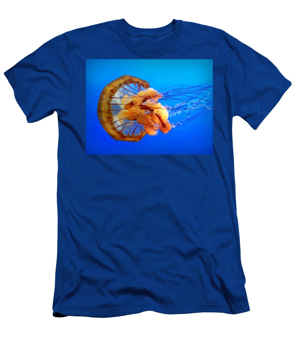 Jellyfish T-Shirt featuring the photograph Amber Seduction by Micki Findlay