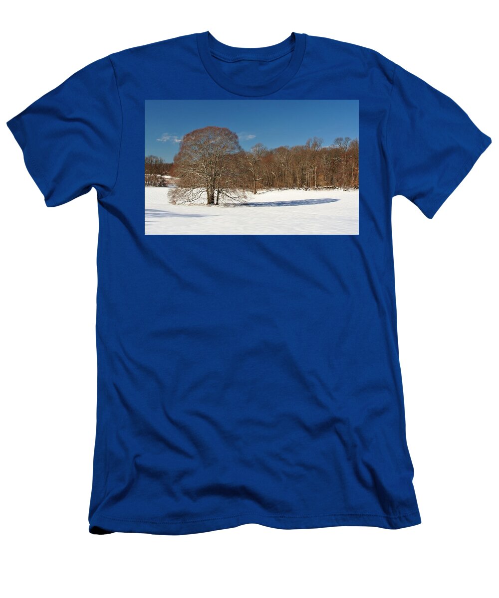 Trees T-Shirt featuring the photograph American Beech by Karen Silvestri