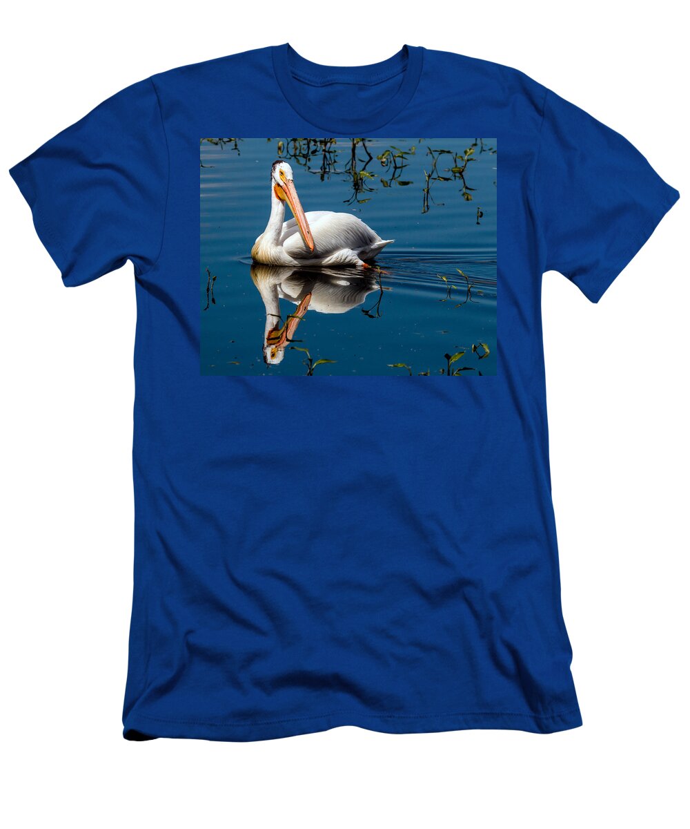 American White Pelican T-Shirt featuring the photograph American White Pelican by Dawn Key