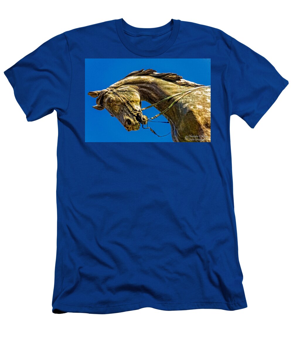 Horse T-Shirt featuring the photograph Andrew Jackson's Horse by Christopher Holmes