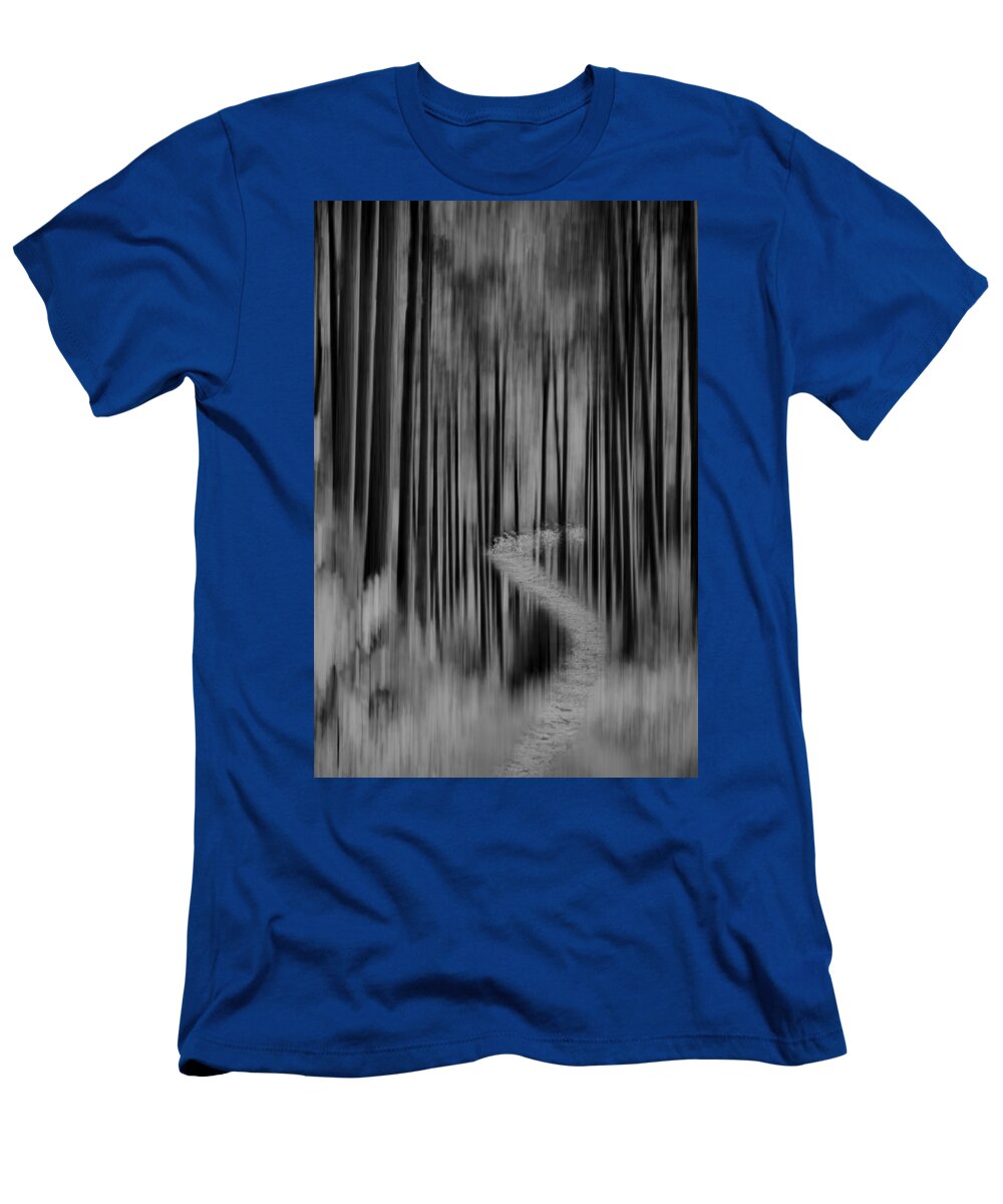 Forest T-Shirt featuring the photograph Autumn Forest Abstract Version 2 by Thomas Young