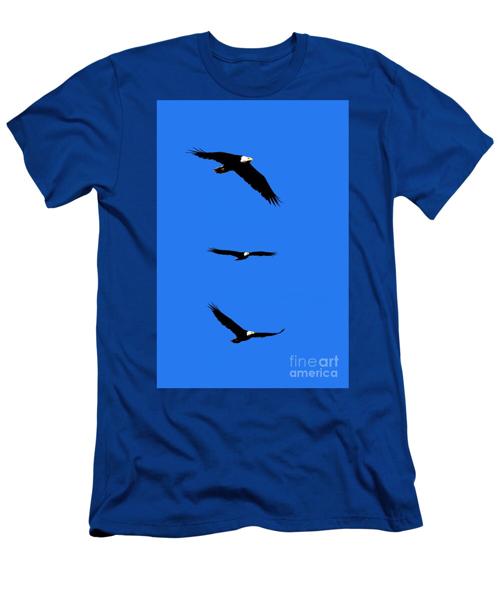 Eagle T-Shirt featuring the photograph Bald Eagle Triptych by Thomas Marchessault