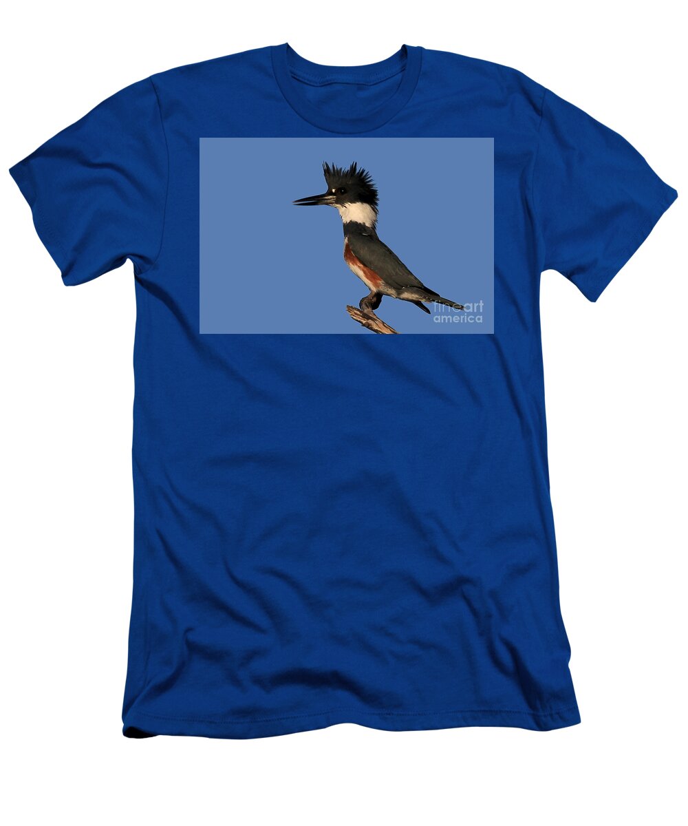 Belted Kingfisher T-Shirt featuring the photograph Belted Kingfisher by Meg Rousher