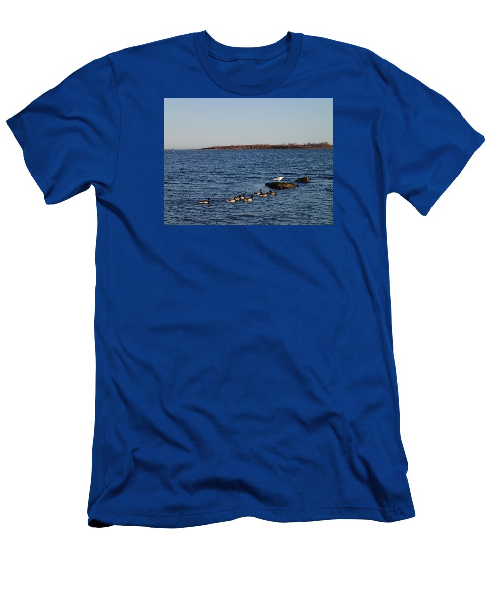 Brants T-Shirt featuring the photograph Brants N Gull by Robert Nickologianis