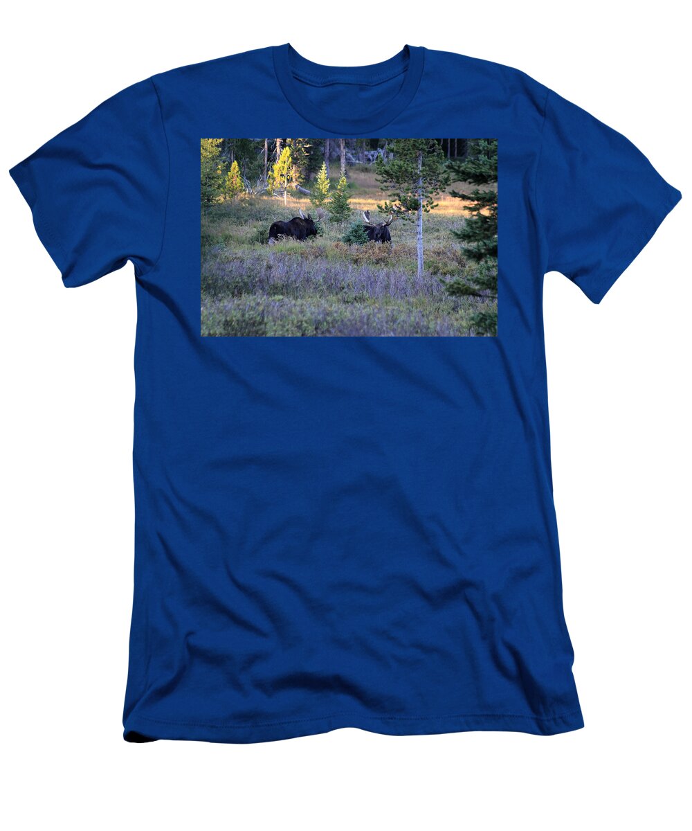 Bull T-Shirt featuring the photograph Bulls In The Meadow by Shane Bechler