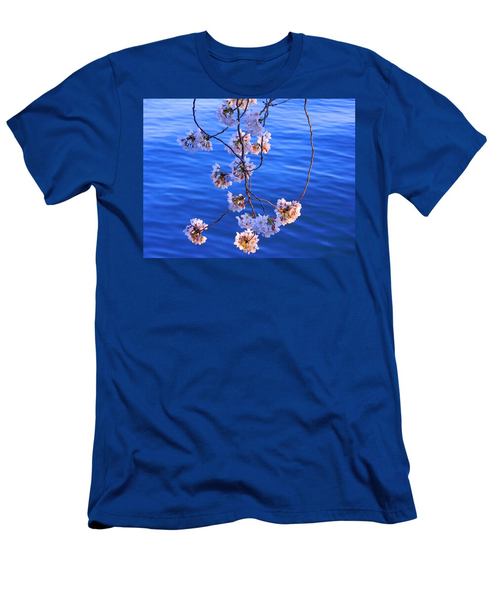 Tidal Basin T-Shirt featuring the photograph Cherry Blossoms Hanging Over Tidal Basin by Emmy Marie Vickers