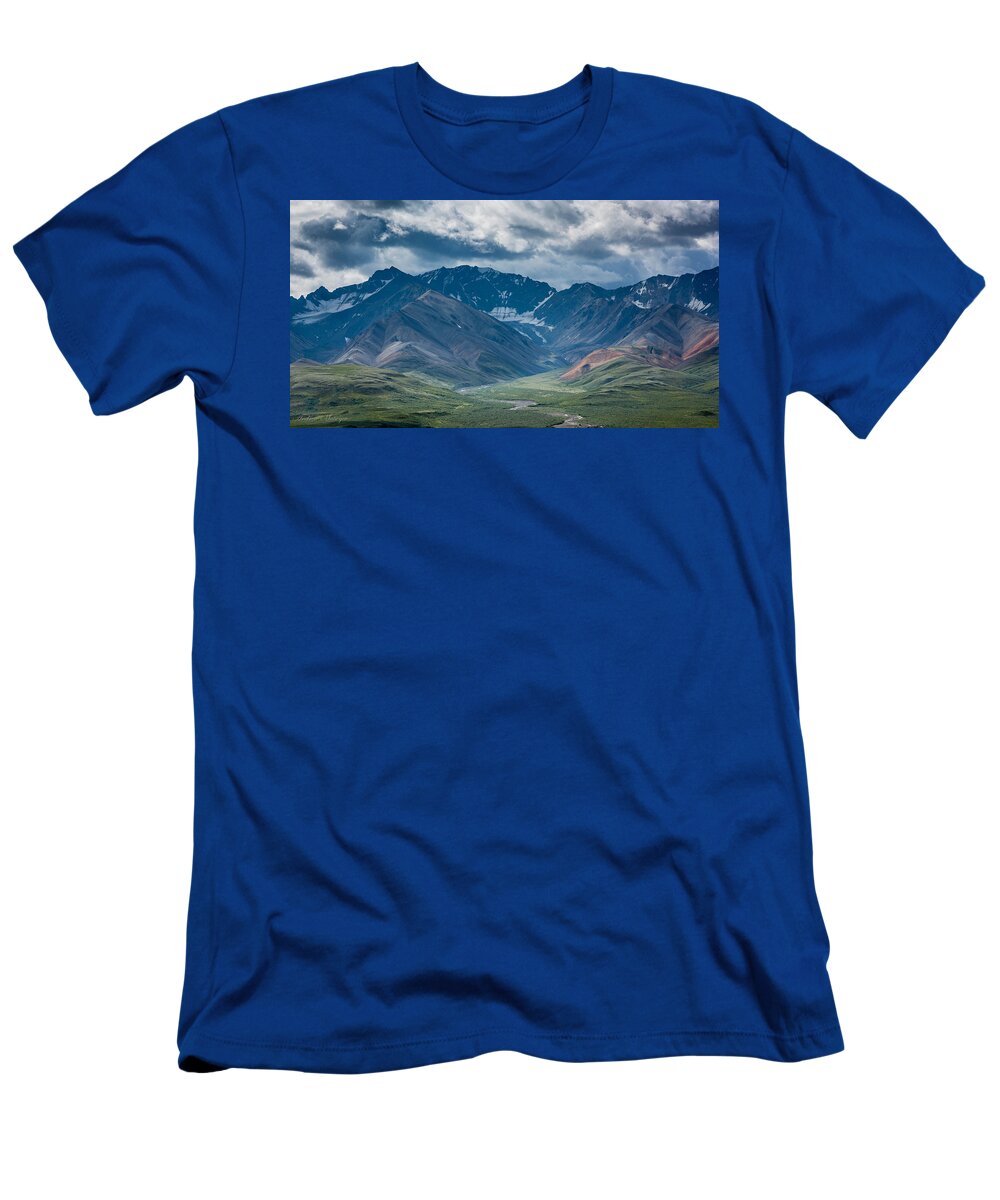Mountain T-Shirt featuring the photograph Denali National Park by Andrew Matwijec