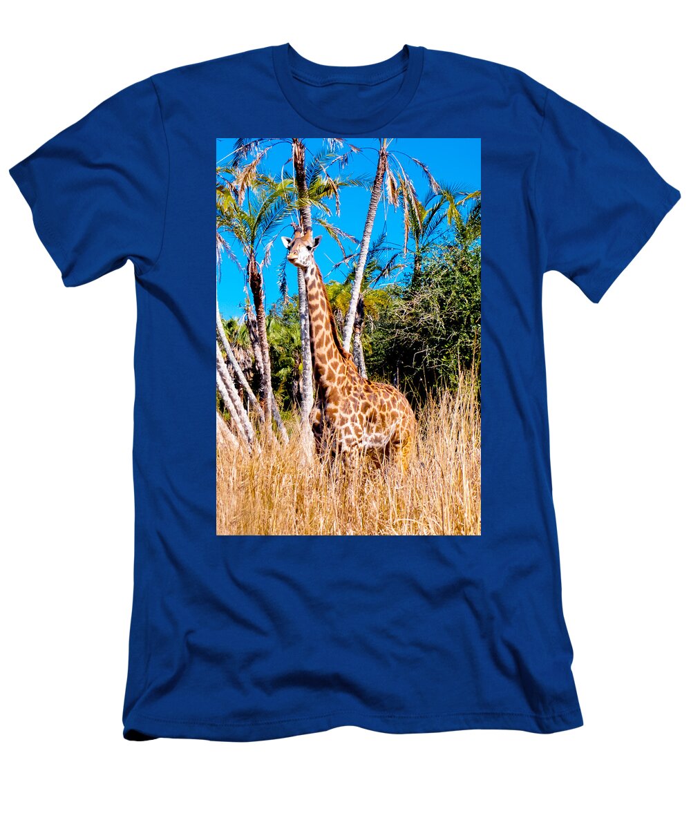 Giraffe T-Shirt featuring the photograph Find the Giraffe by Greg Fortier