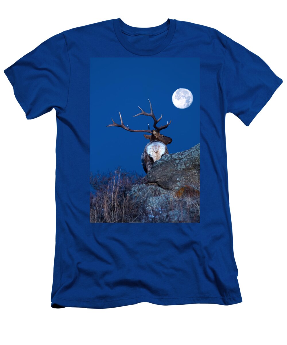 Moon T-Shirt featuring the photograph Gazing At The Moon by Shane Bechler