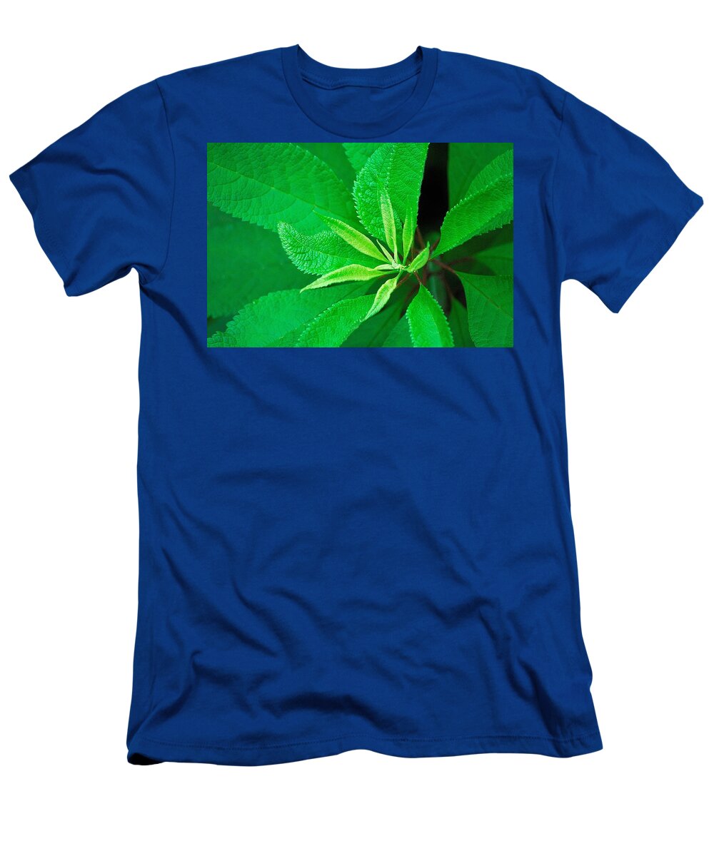 Green T-Shirt featuring the photograph Green by Ludwig Keck