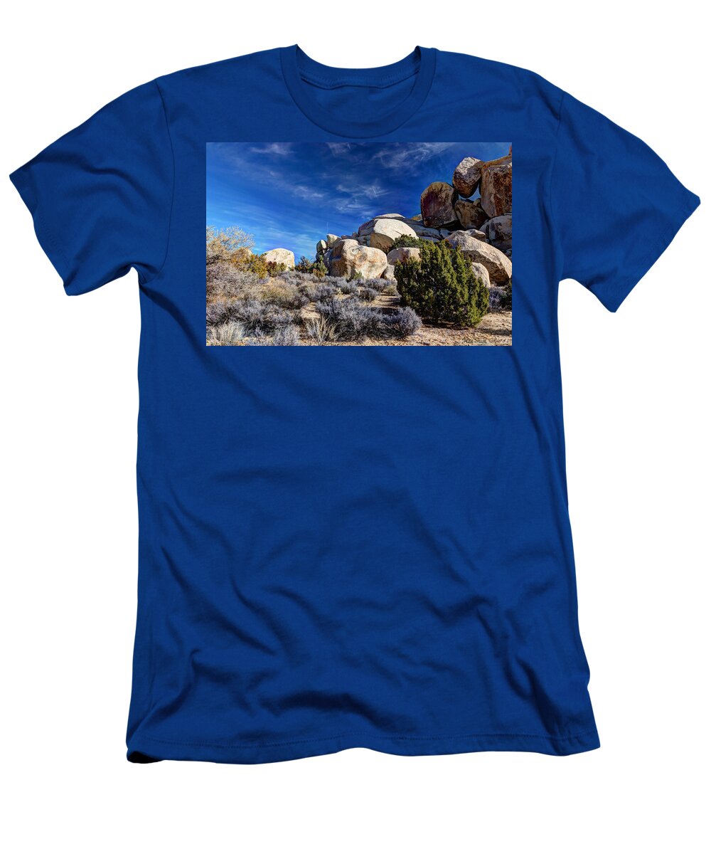 Desert T-Shirt featuring the photograph Hall Of Horrors by Heidi Smith