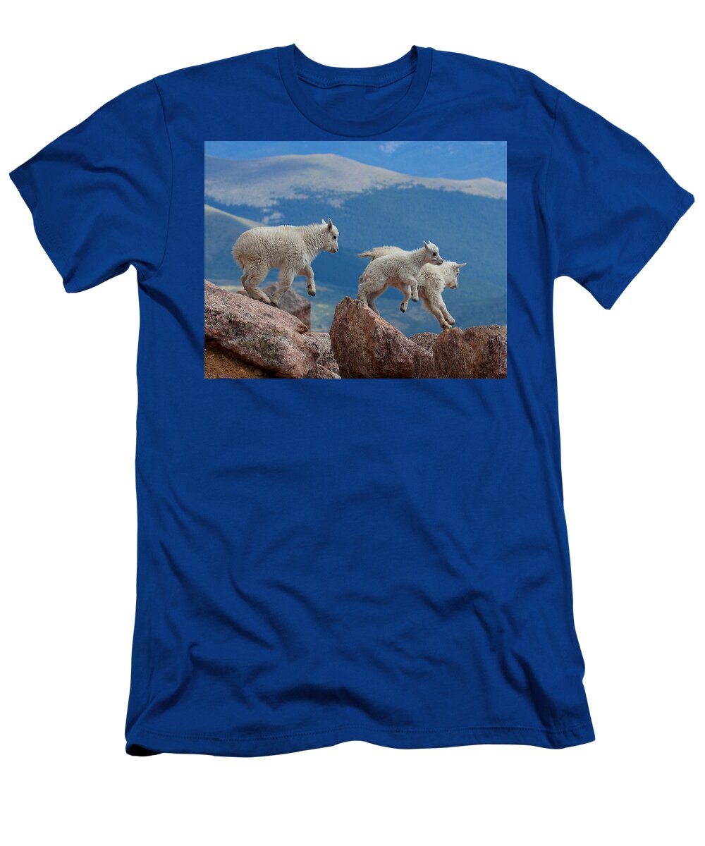 Mountain Goats; Posing; Group Photo; Baby Goat; Nature; Colorado; Crowd; Baby Goat; Mountain Goat Baby; Happy; Joy; Nature; Brothers T-Shirt featuring the photograph Happy Landing by Jim Garrison