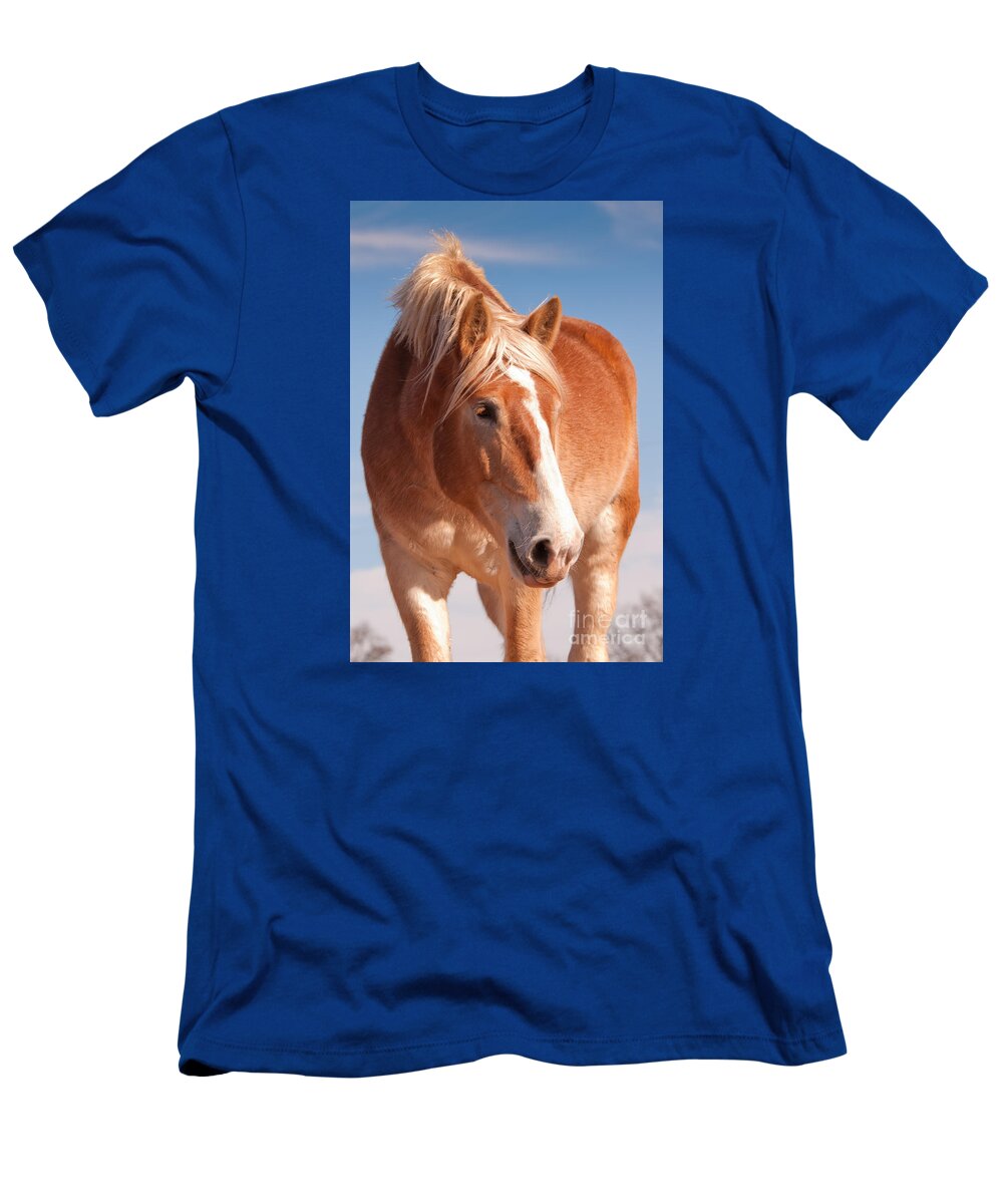 Belgian Draft T-Shirt featuring the photograph Hanks Sweetness by Sari ONeal
