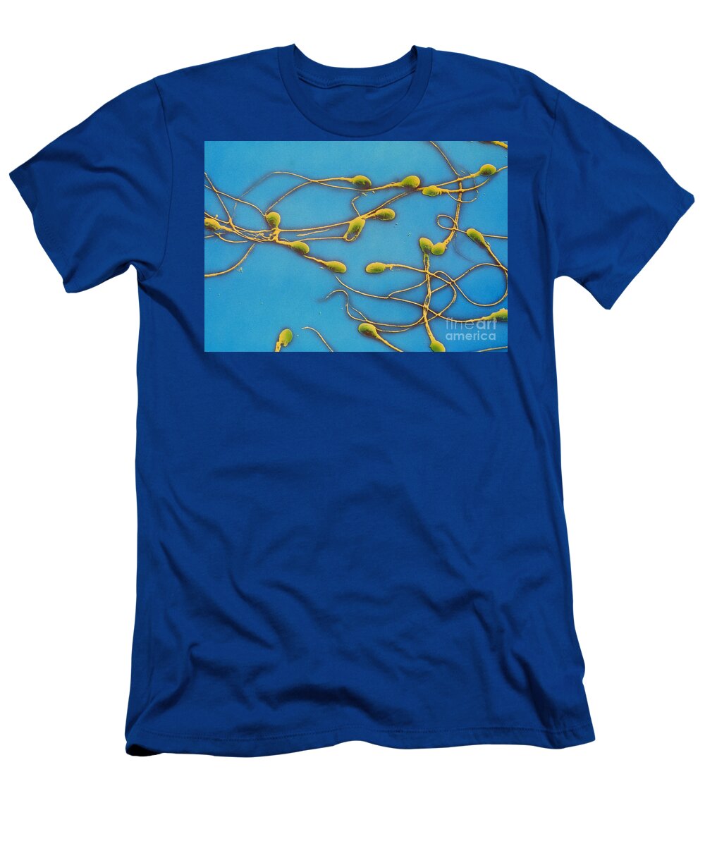 Gamete T-Shirt featuring the photograph Human Sperm by David M. Phillips