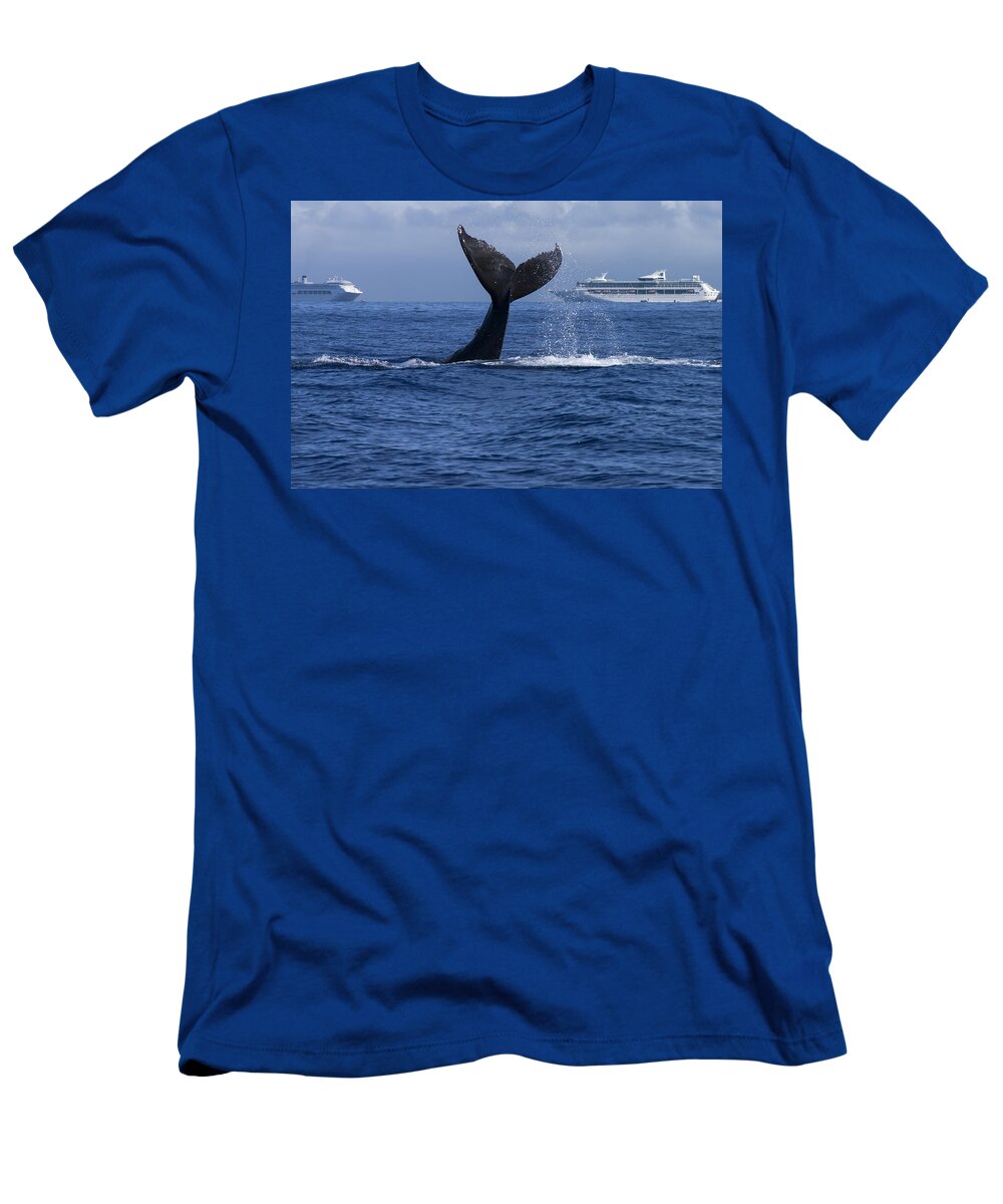 00999146 T-Shirt featuring the photograph Humpback Whale Tail Lobbing in Maui by Flip Nicklin