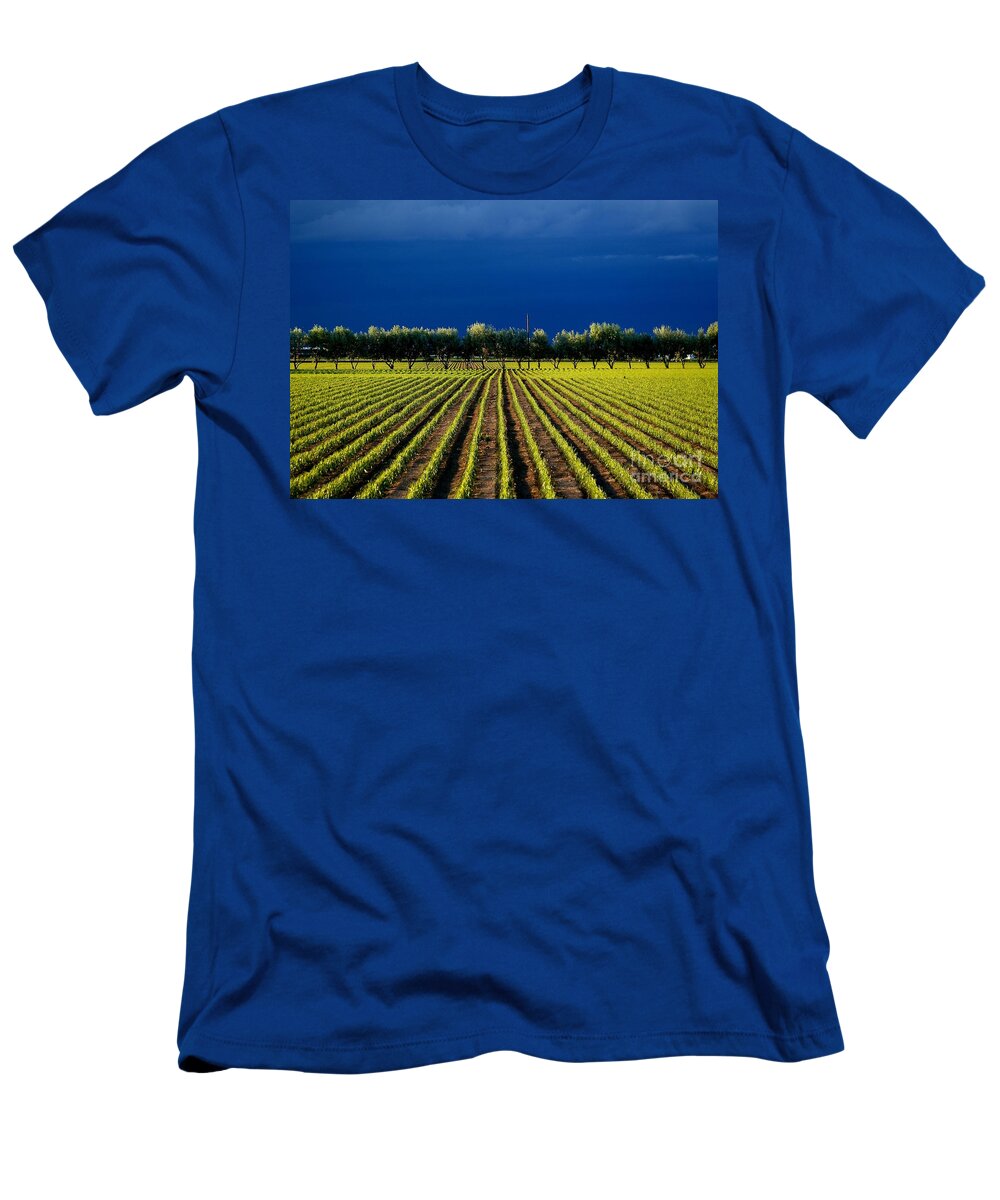 Nature T-Shirt featuring the photograph Just Starting by Steven Reed