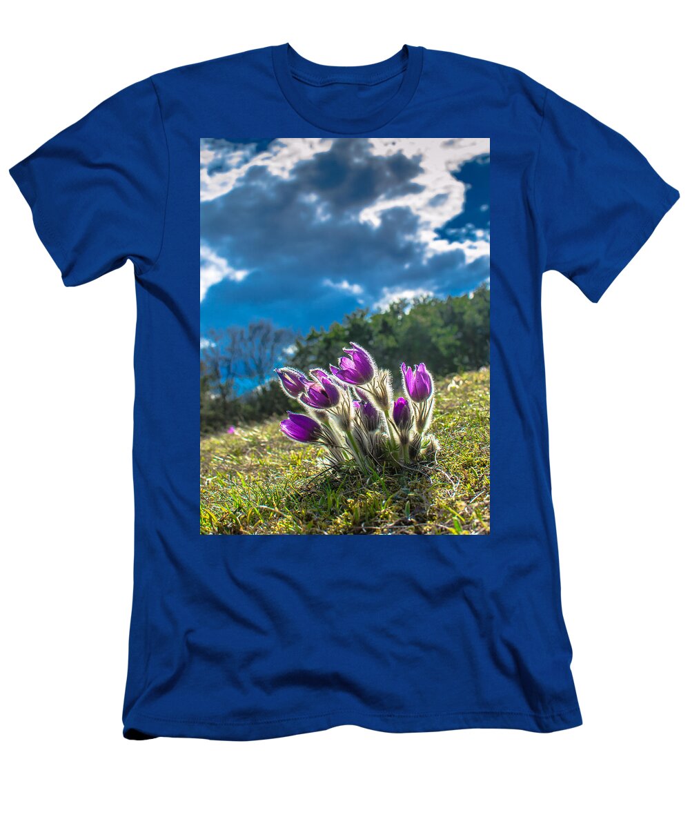 Flower T-Shirt featuring the photograph Lady Of The Snows In The First Sunlight by Andreas Berthold