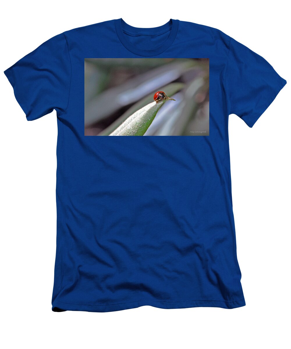 Nature T-Shirt featuring the photograph Ladybug on a Leaf by Kay Lovingood