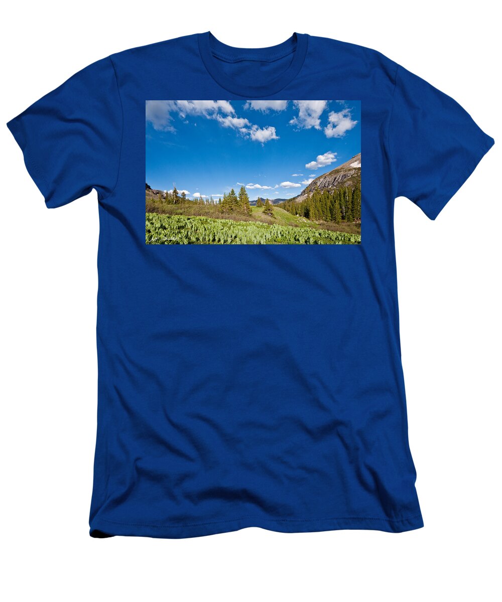 Beauty In Nature T-Shirt featuring the photograph Meadow of False Hellebore by Jeff Goulden